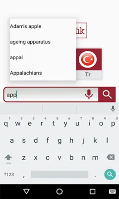 Kolay Sözlük İngilizce Türkçe android App screenshot 6